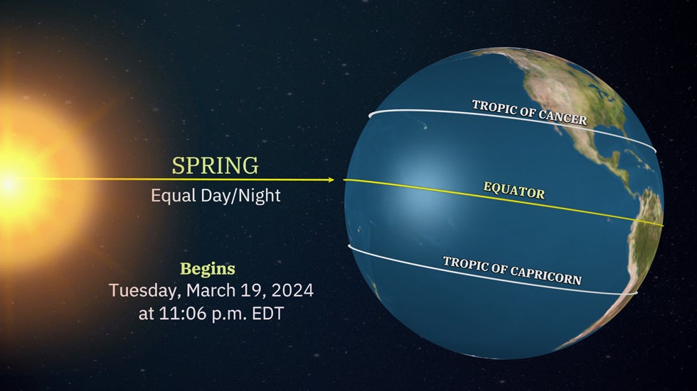 Spring Equinox Reset: Why the Body Naturally Craves Detox and Renewal in March